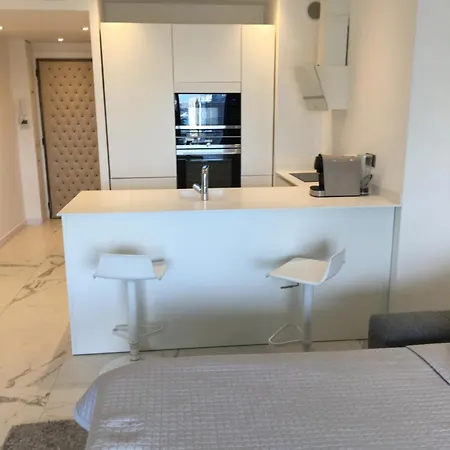 Croisette Grand Apartment Cannes