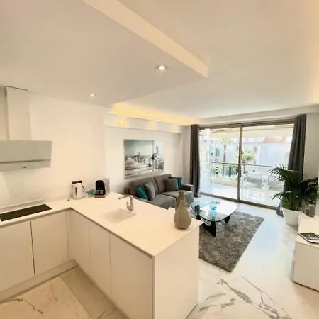Croisette Grand Apartment Cannes